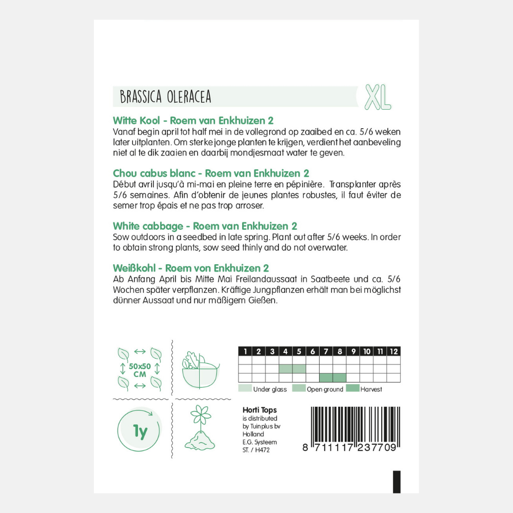 Chou blanc 'Glory of Enkhuizen 2'