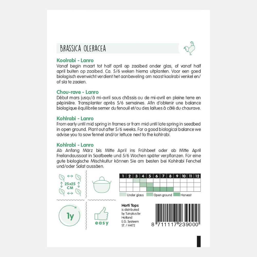 Chou-rave 'Lanro' - vert