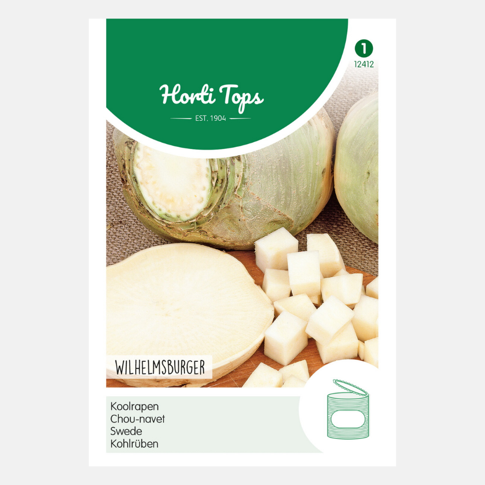 Chou-rave 'Wilhelmsburger' - type frison