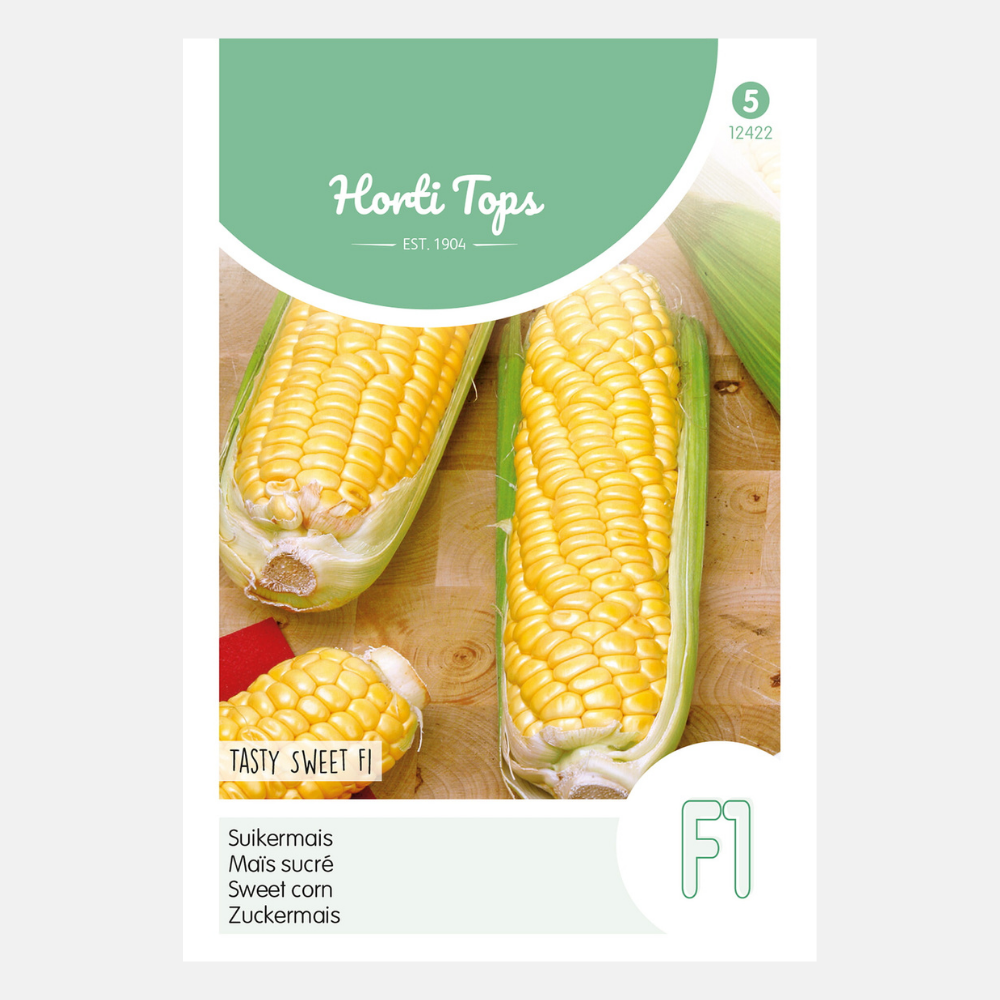 Maïs doux 'Tasty Sweet' F1