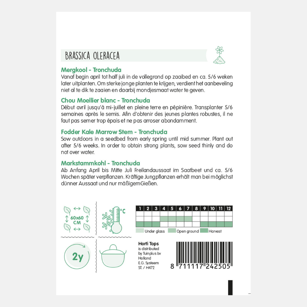 Chou à moelle 'Prover'