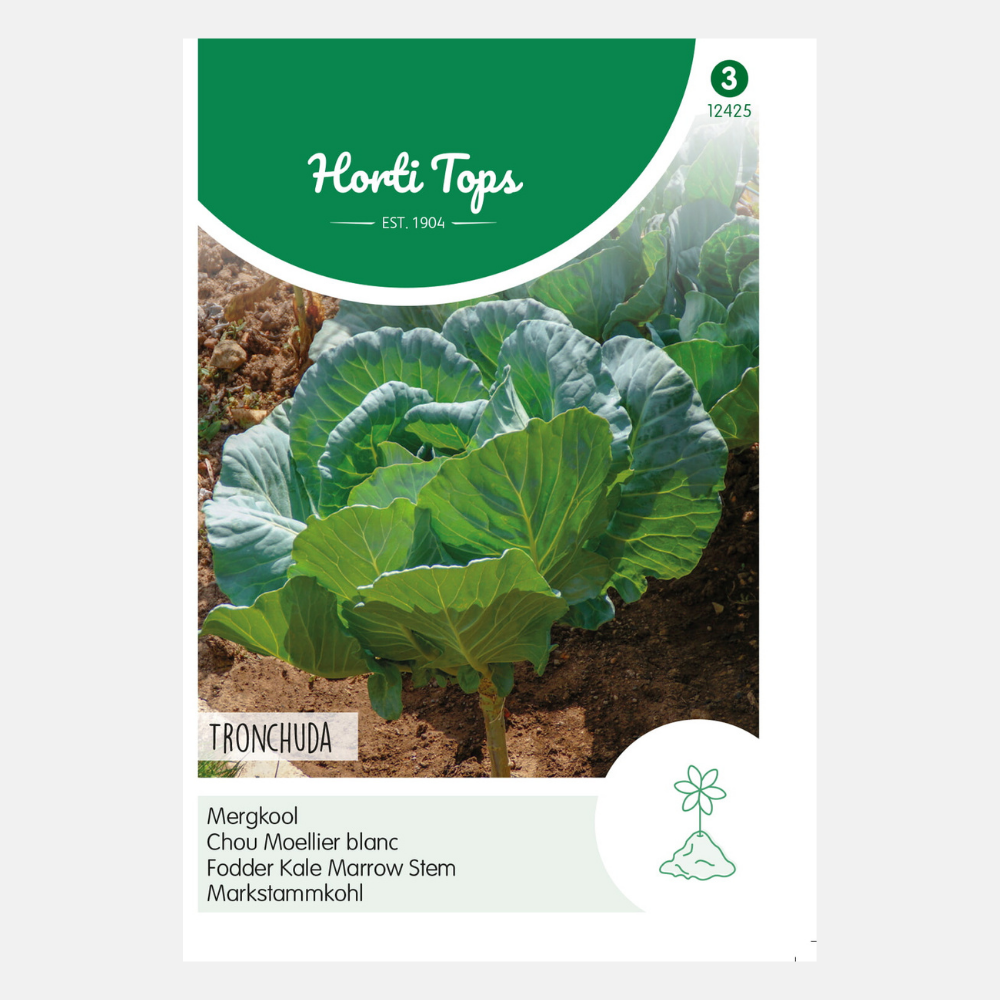 Chou à moelle 'Prover'