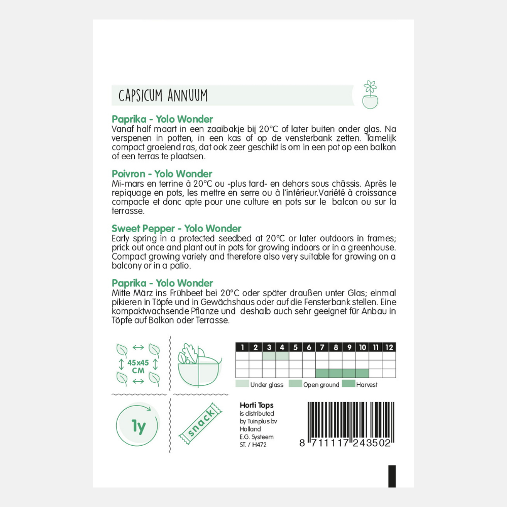 Paprika 'Yolo Wonder'