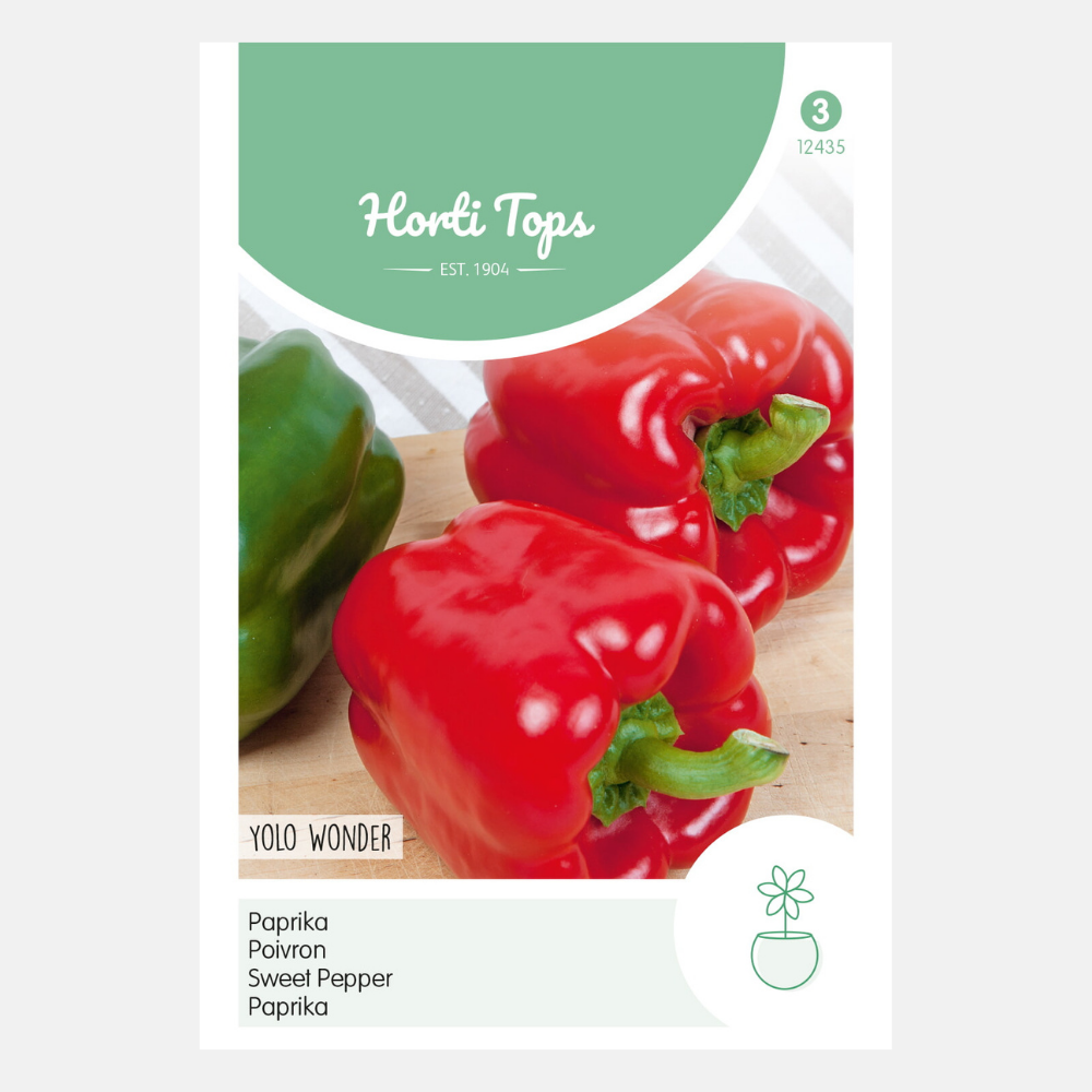 Paprika 'Yolo Wonder'