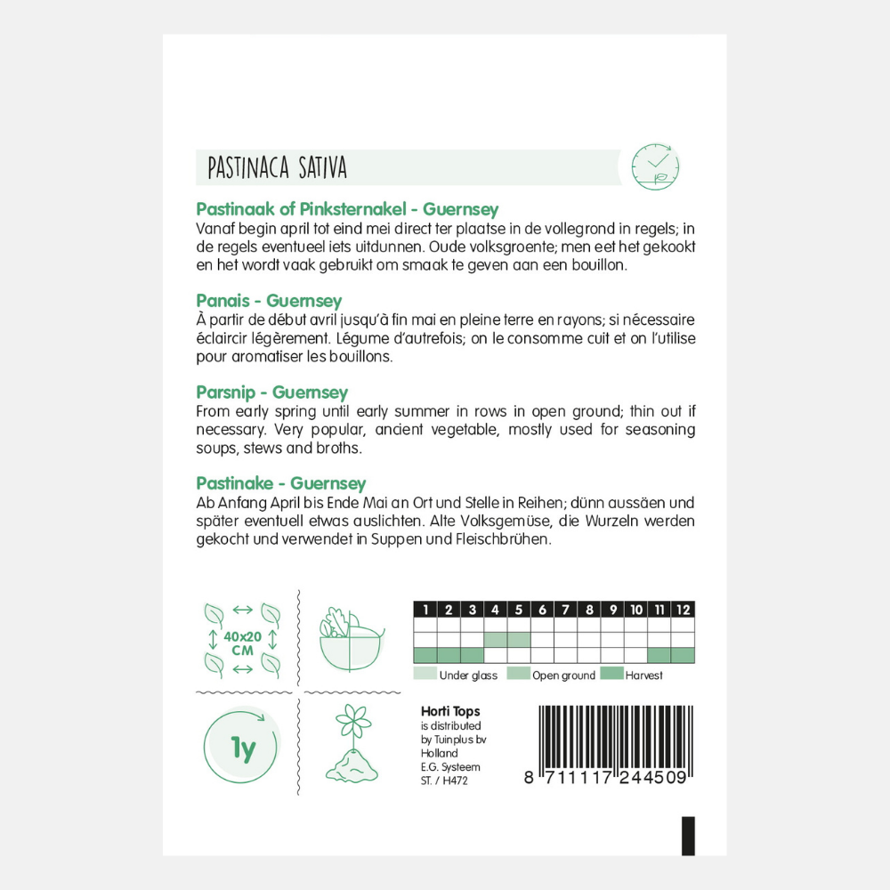 Pastinaak 'Guernsey'