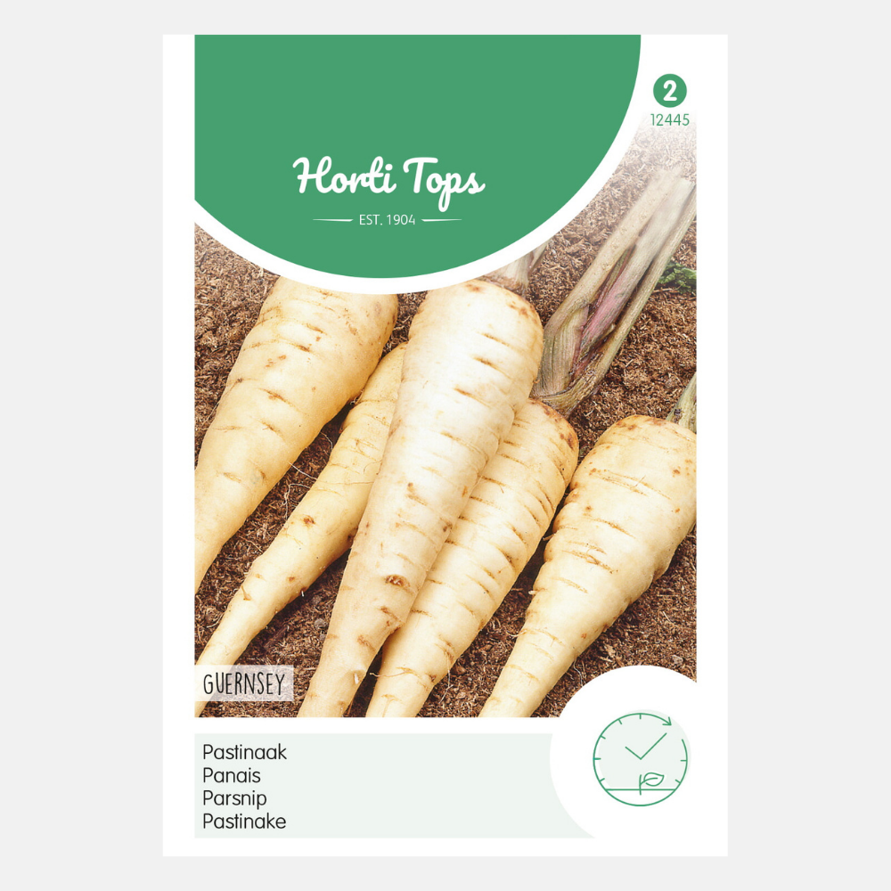 Pastinaak 'Guernsey'