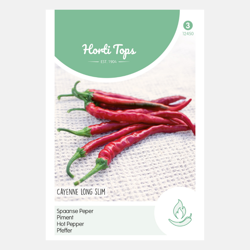 Piment 'Cayenne' - 40000 scoville