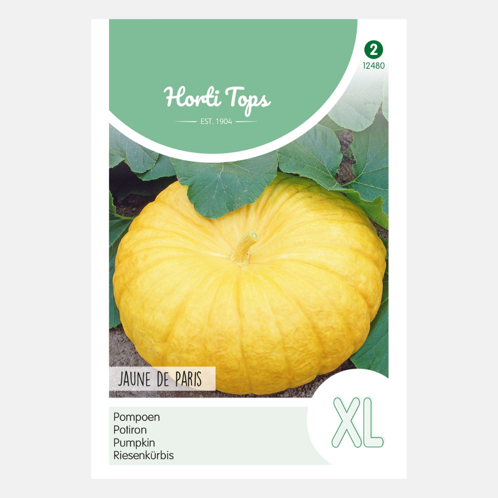 Citrouille 'Centenaars à chair jaune'