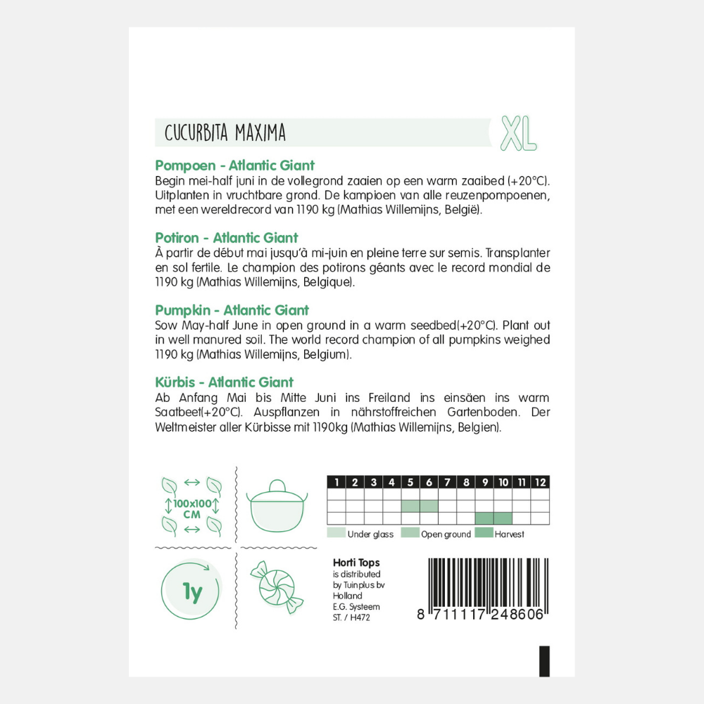 Citrouille 'Géante de l'Atlantique'