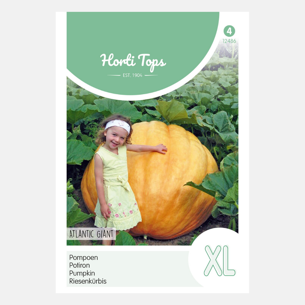 Citrouille 'Géante de l'Atlantique'