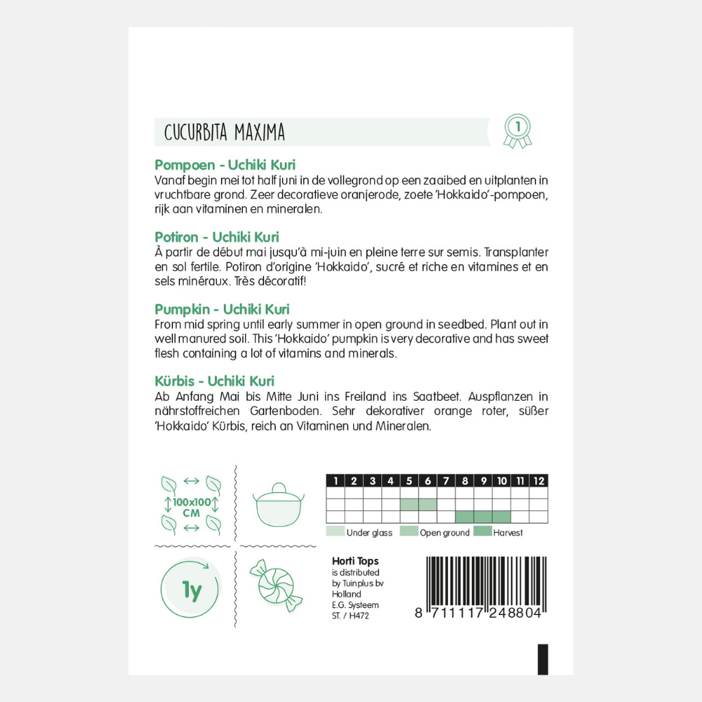 Citrouille 'Hokkaido'