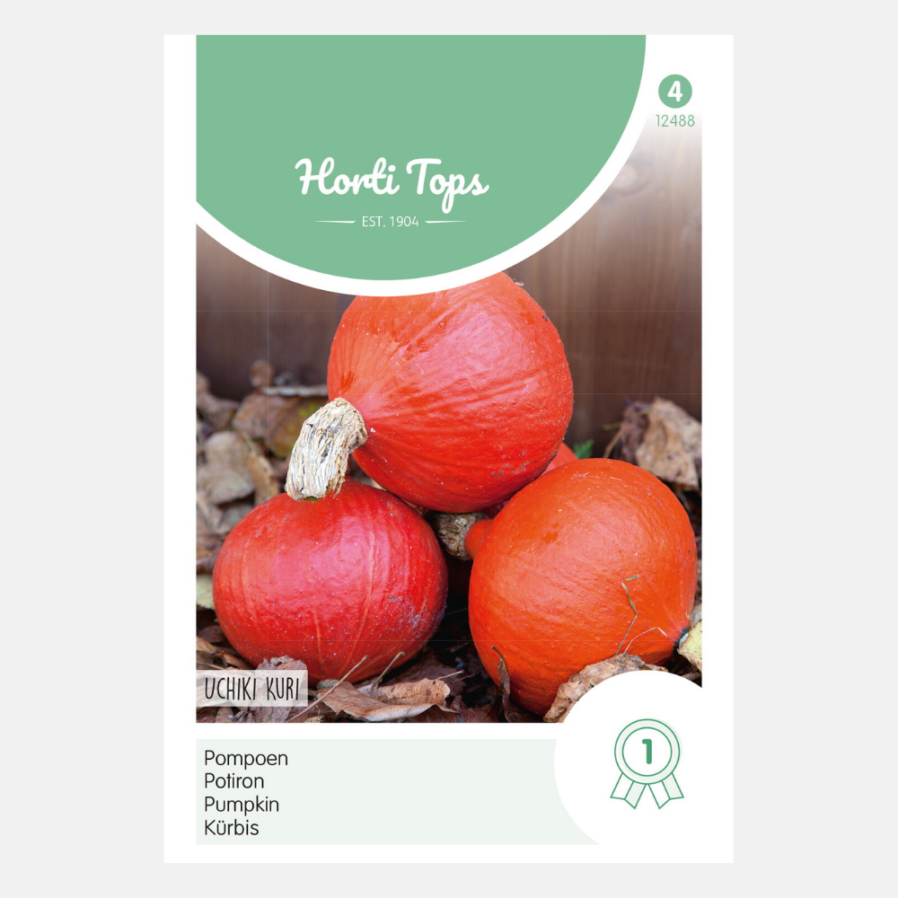 Citrouille 'Hokkaido'