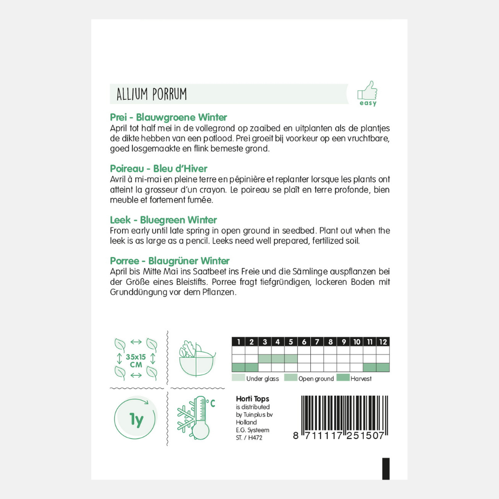 Leek 'Blue-green Winter'