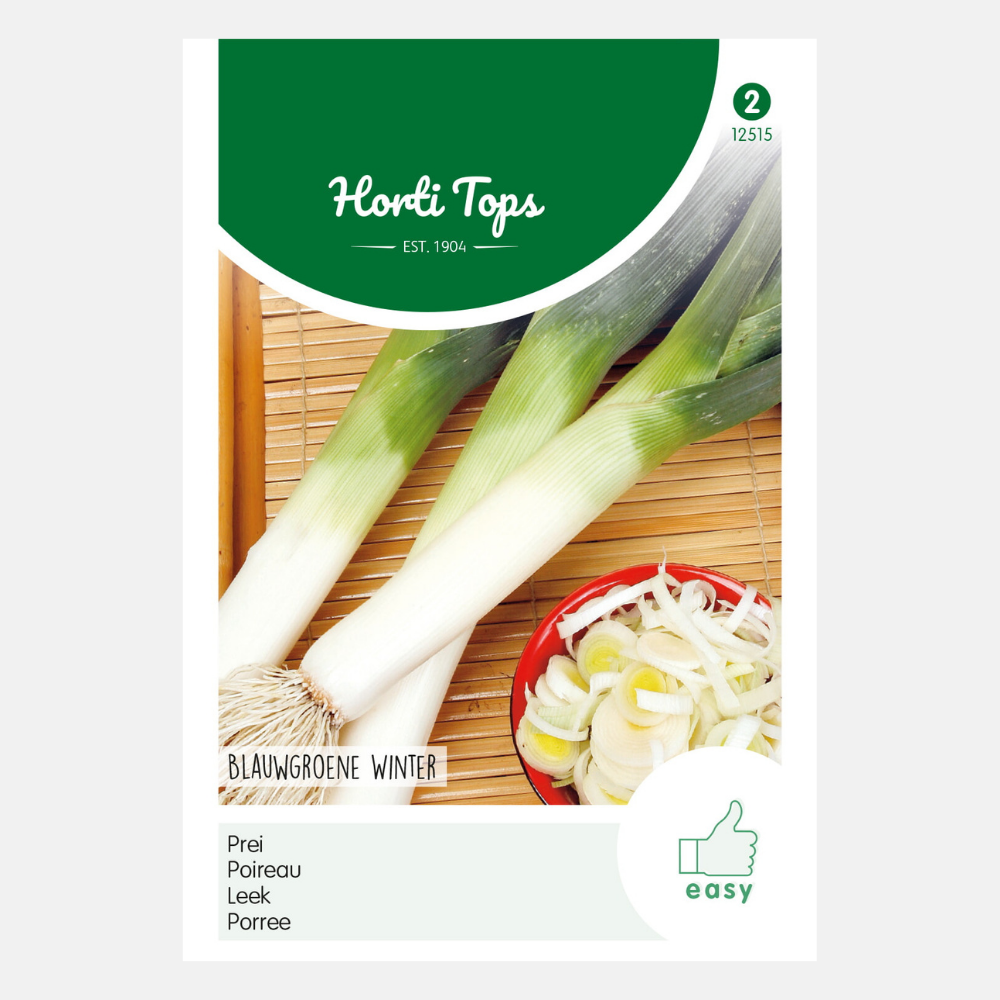 Leek 'Blue-green Winter'