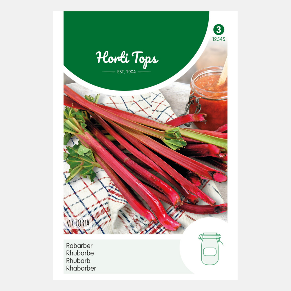 Rhubarb 'Victoria'