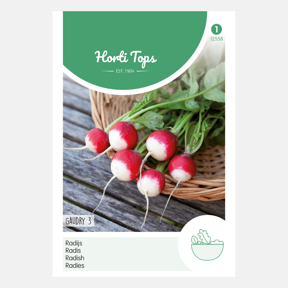 Radish 'Gaudry 3'/'Ronde Rode Witpunt'