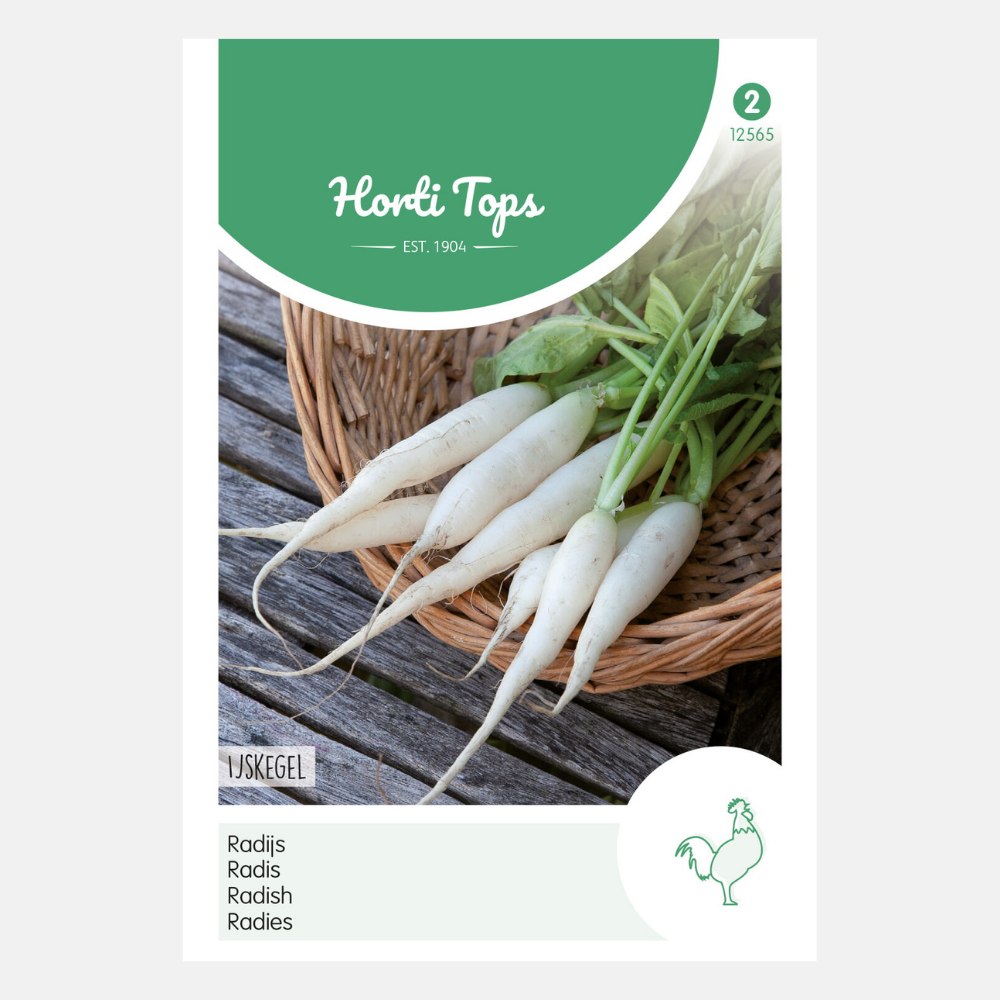 Radis 'Icicle'/'Long White'