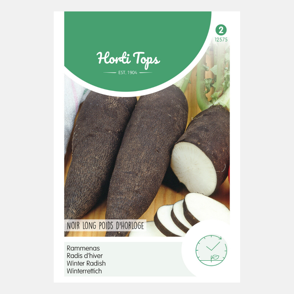 Black radish 'Poids D'Horloge' - long black type