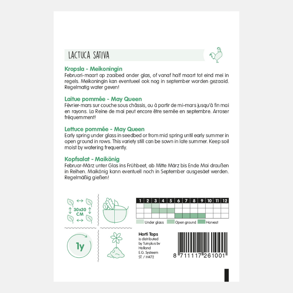 Laitue 'Meikoningin'