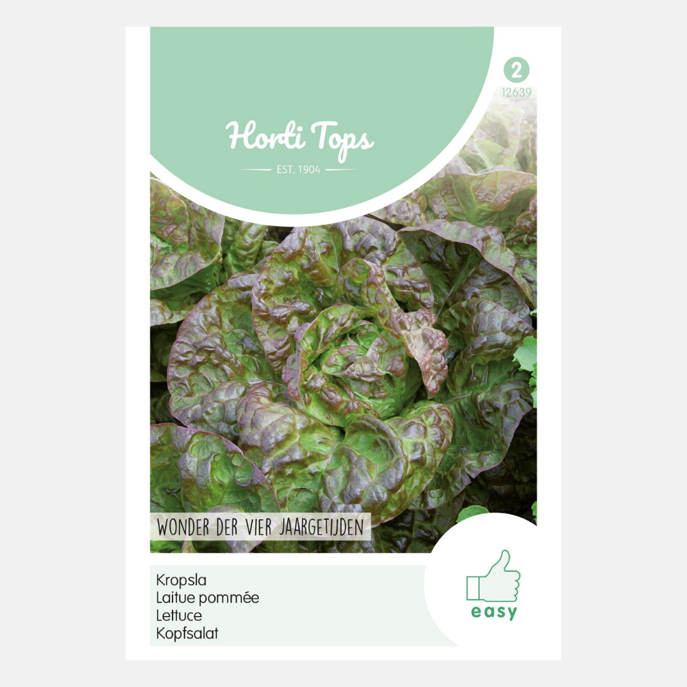 Laitue « Merveille des quatre saisons »