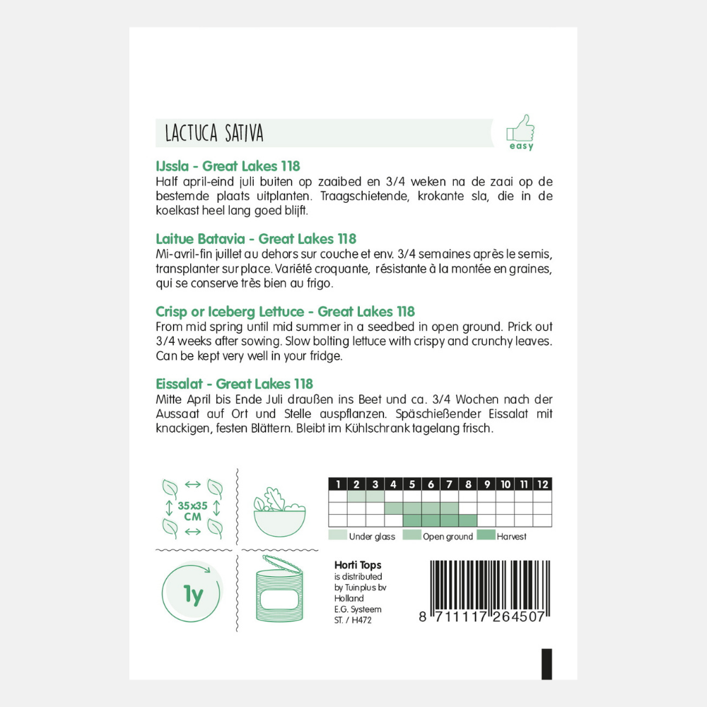 Laitue iceberg 'Great Lakes 118'