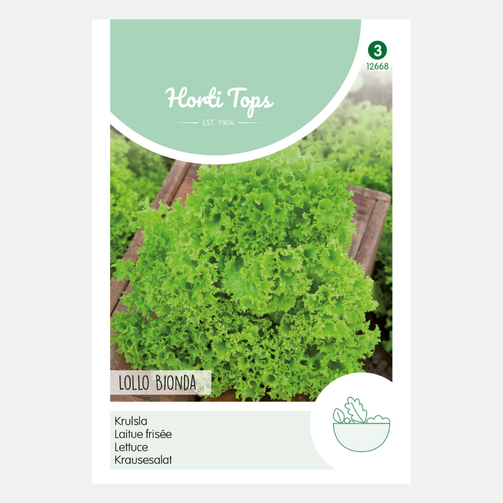 Laitue frisée 'Lollo Bionda' - verte
