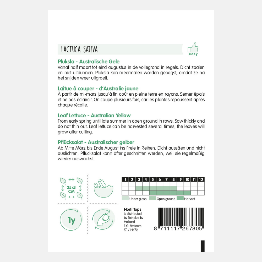 Laitue 'Australian Yellow'