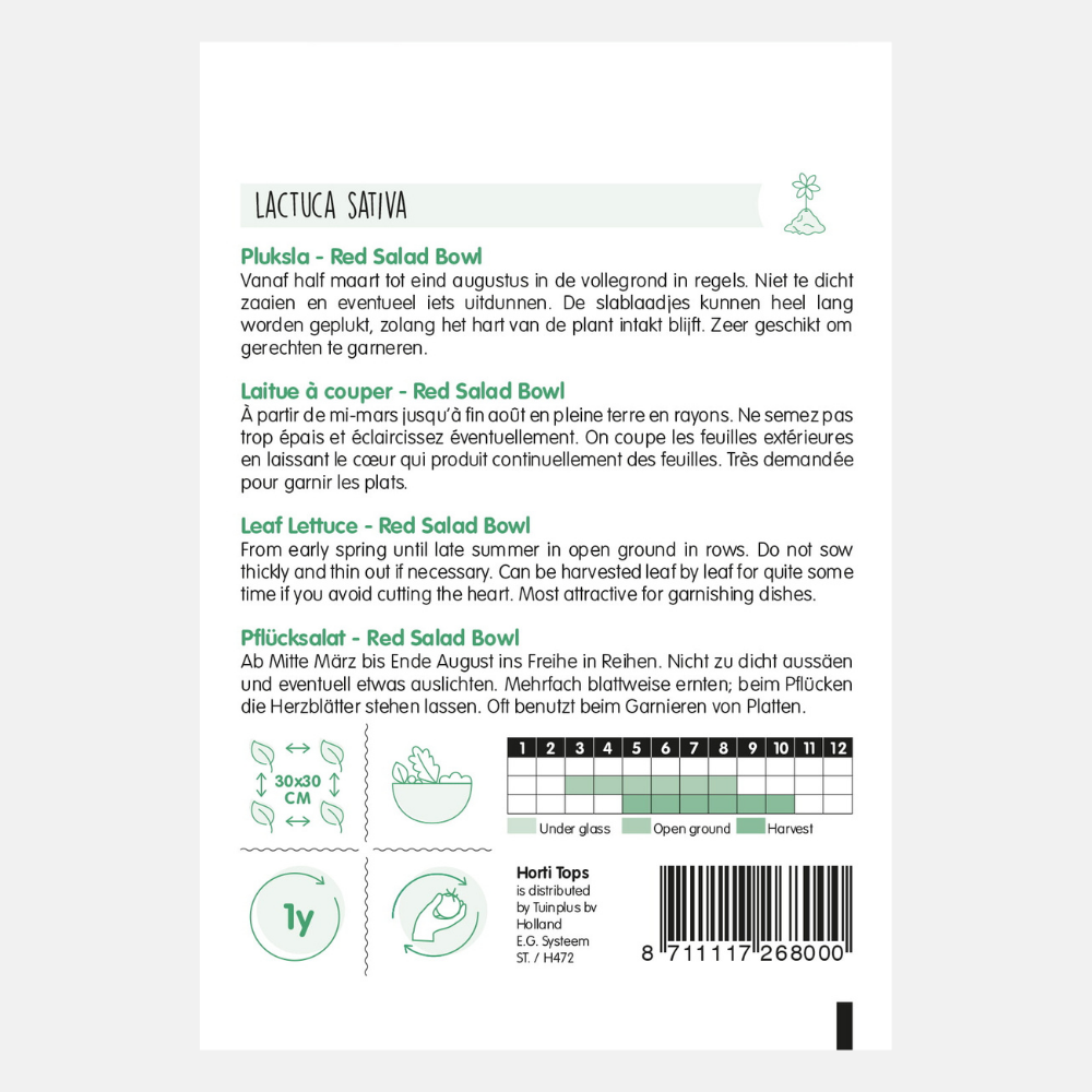 Laitue feuille de chêne rouge « Red Salad Bowl »