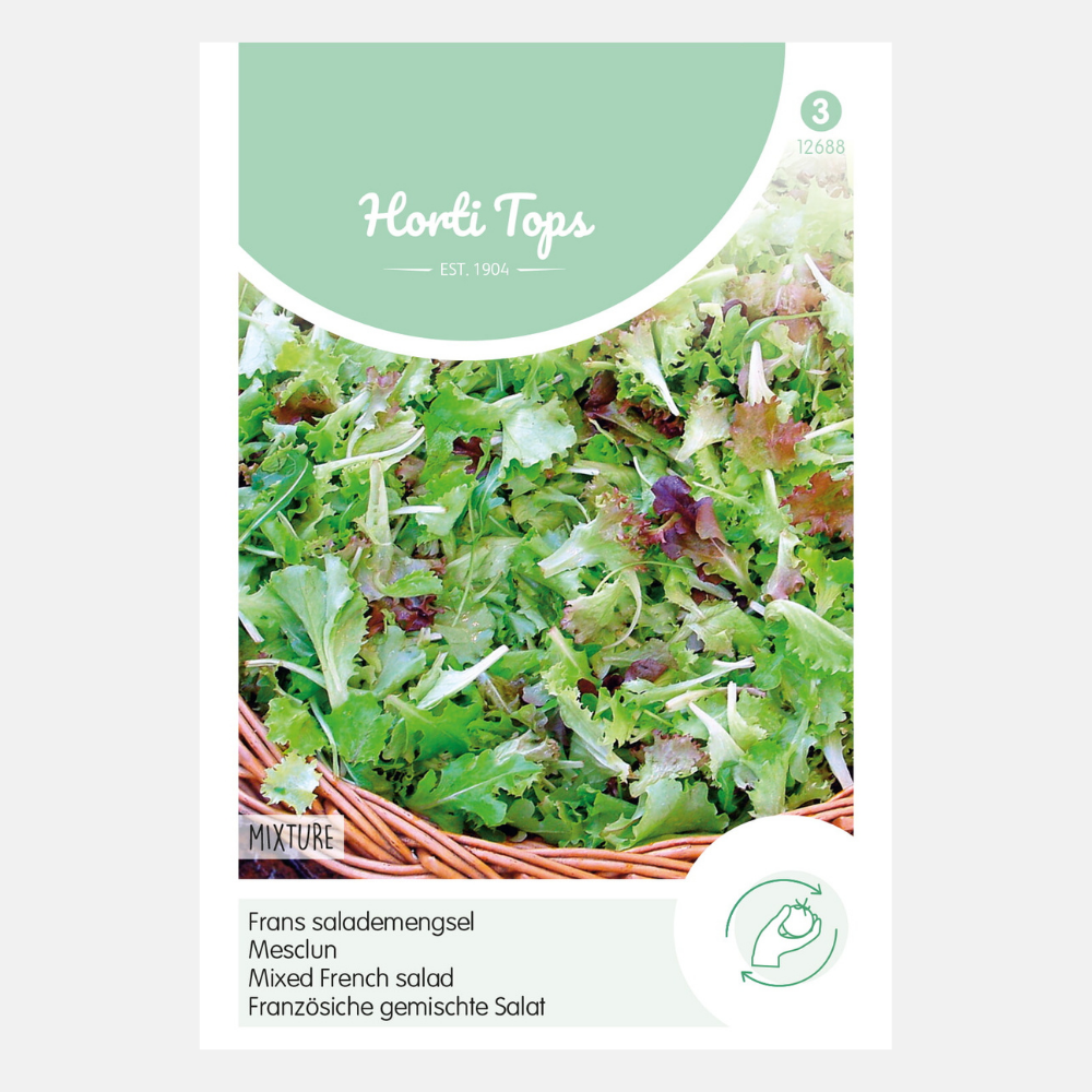 Pick lettuce mesclun - French salad mixture