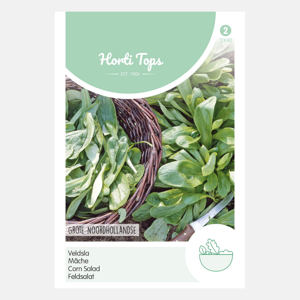 Lamb's lettuce 'Great North Holland'