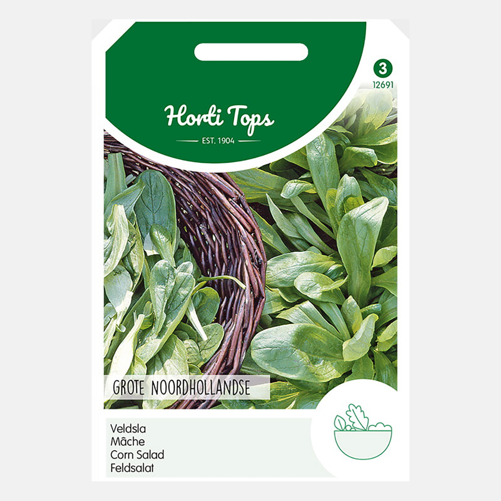 Lamb's lettuce 'Great North Holland'