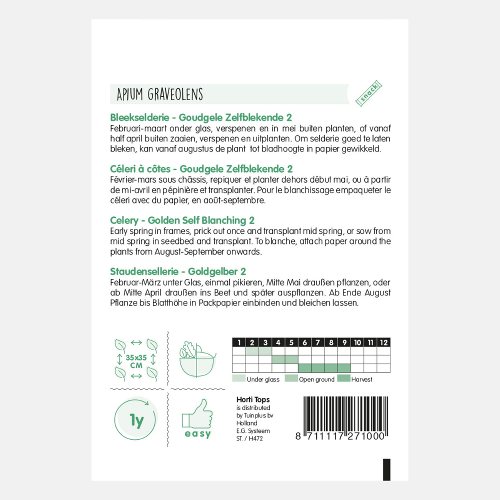 Céleri 'Golden Self-Bleaching'