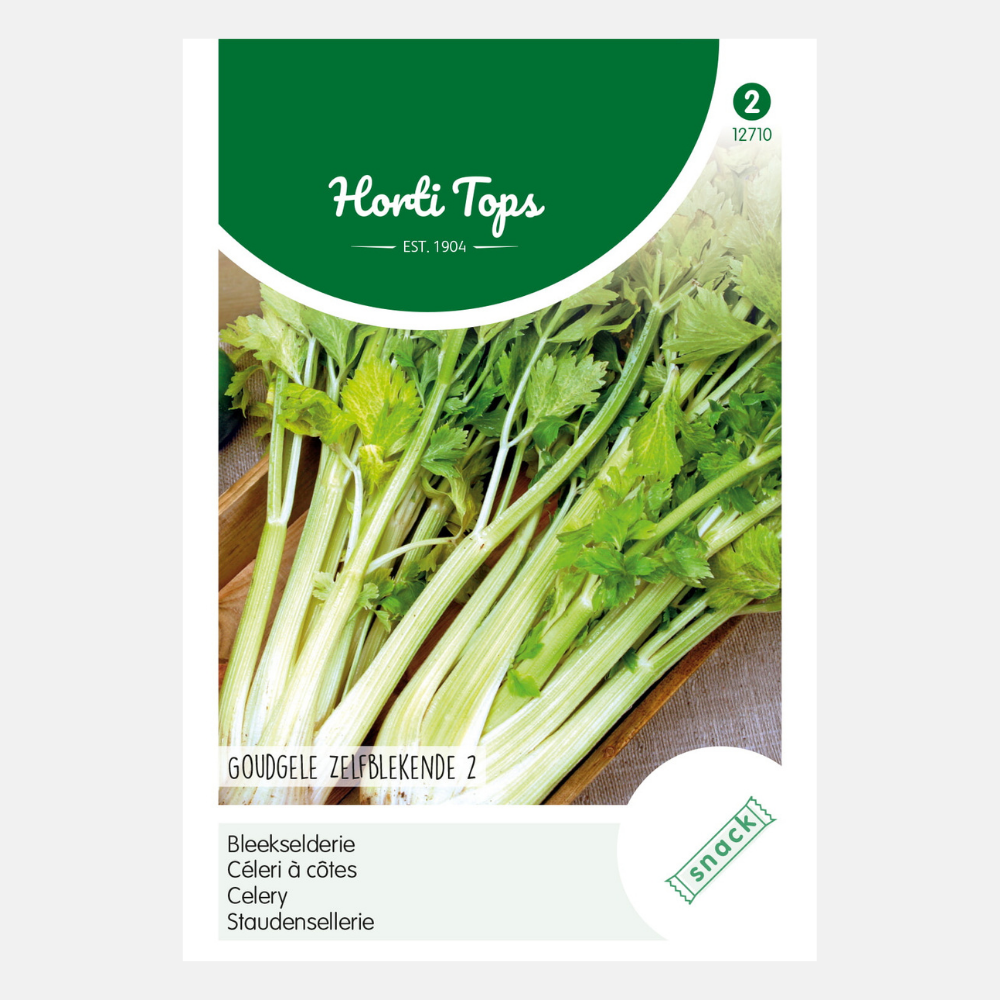 Céleri 'Golden Self-Bleaching'