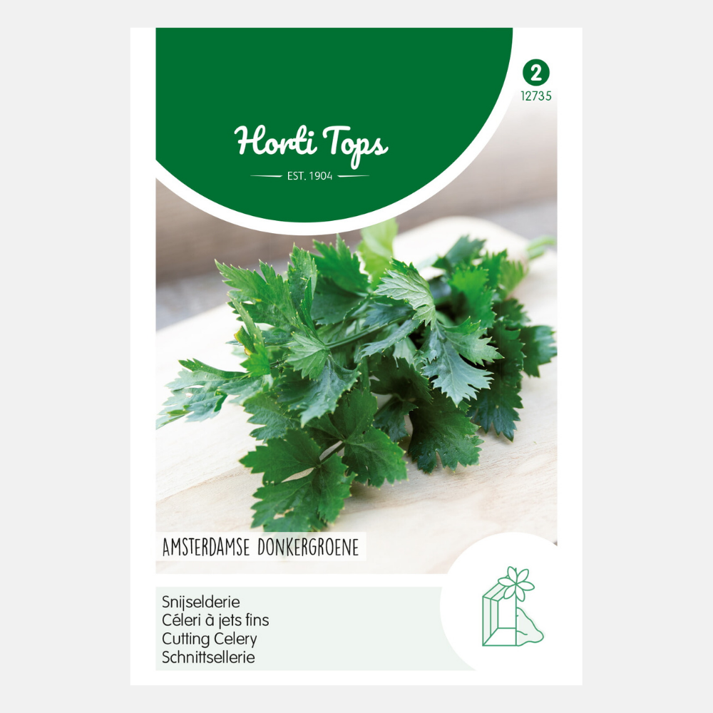 Celery 'Amsterdam Dark Green'