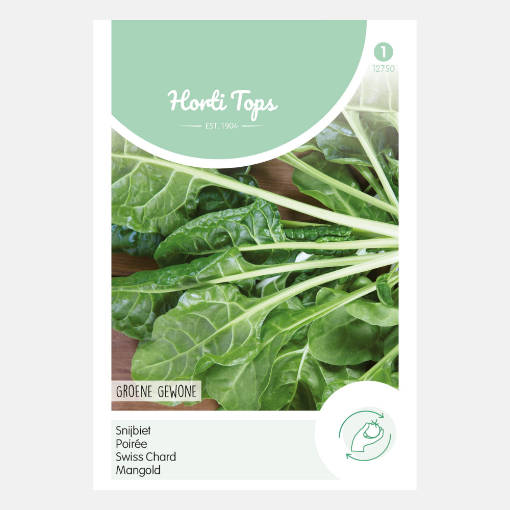 Snijbiet 'Groene Gewone' - groen