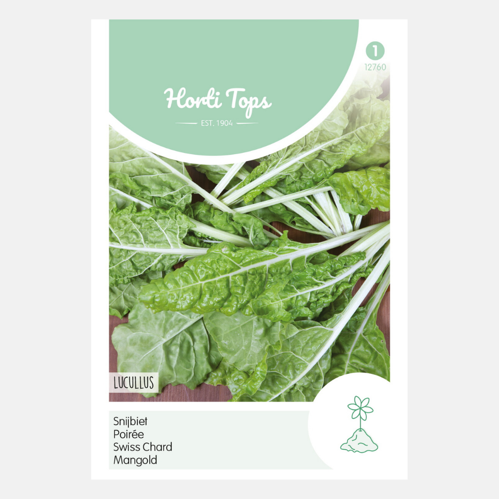 Swiss chard 'Lucullus'