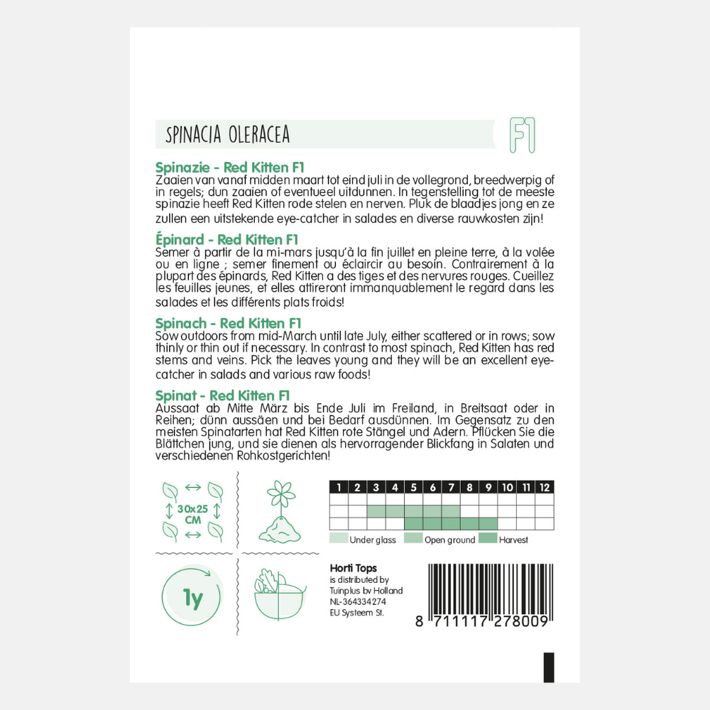Spinach 'Red Kitten' F1