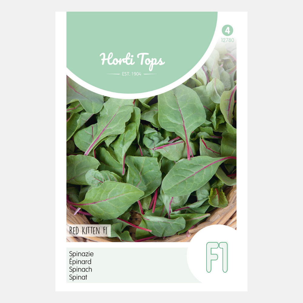 Spinach 'Red Kitten' F1