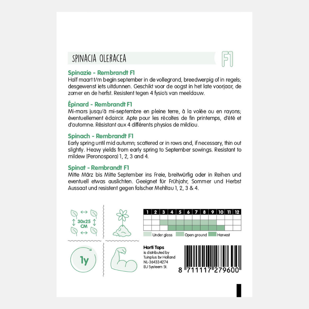 Spinach 'Revere' F1