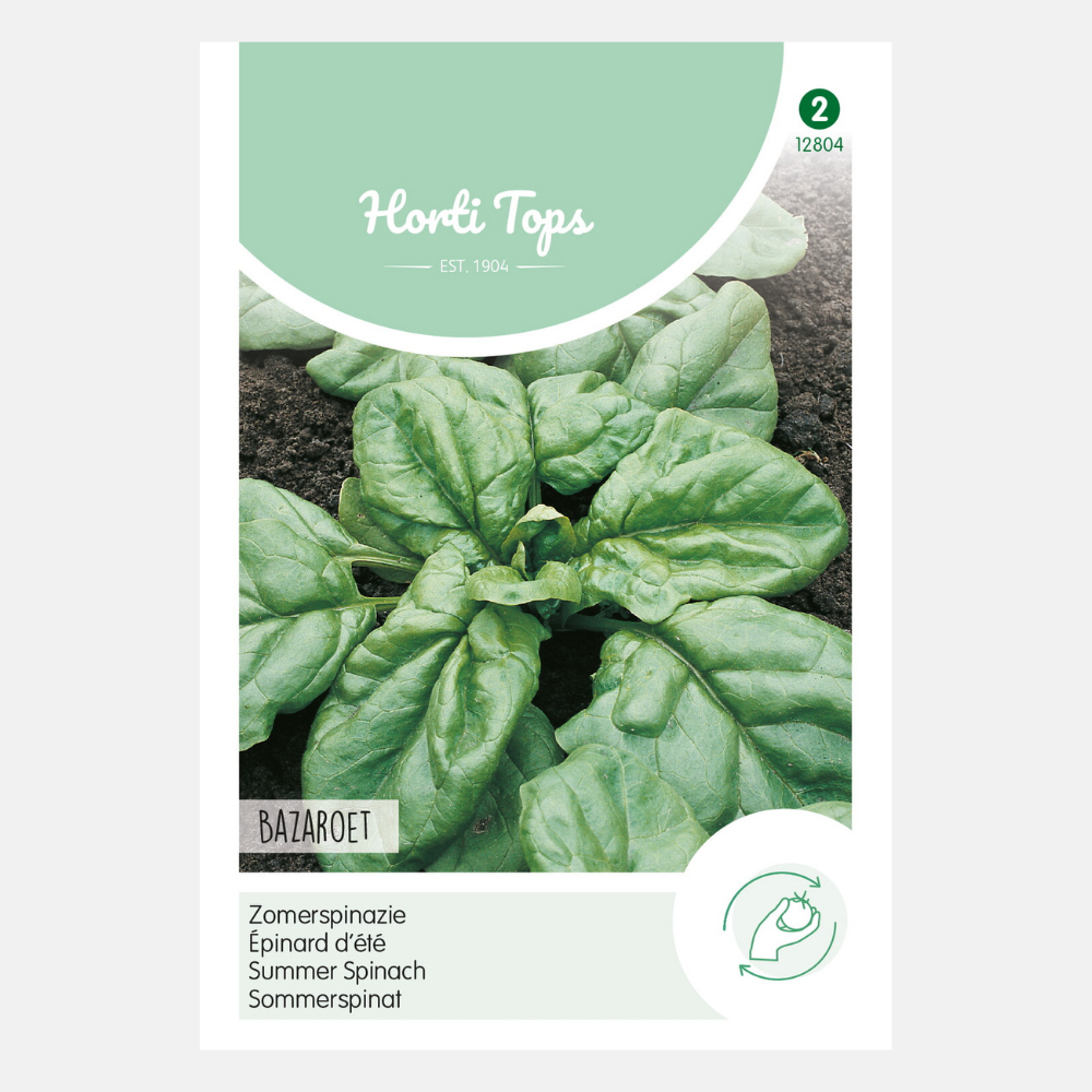 Spinazie 'Bazaroet'