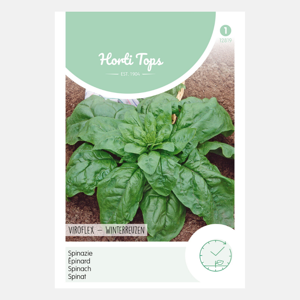Spinach 'Viroflex'/'Winter Giants'
