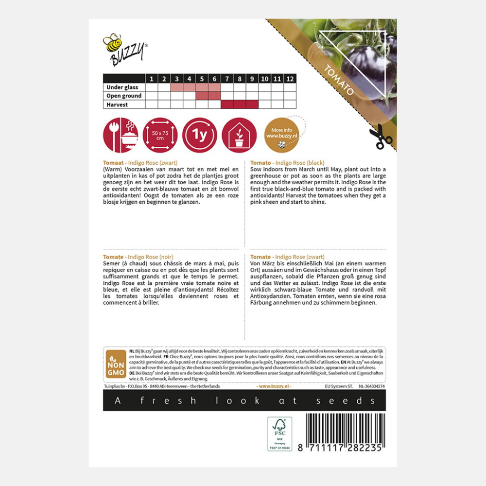 Tomate 'Indigo rose' - noire