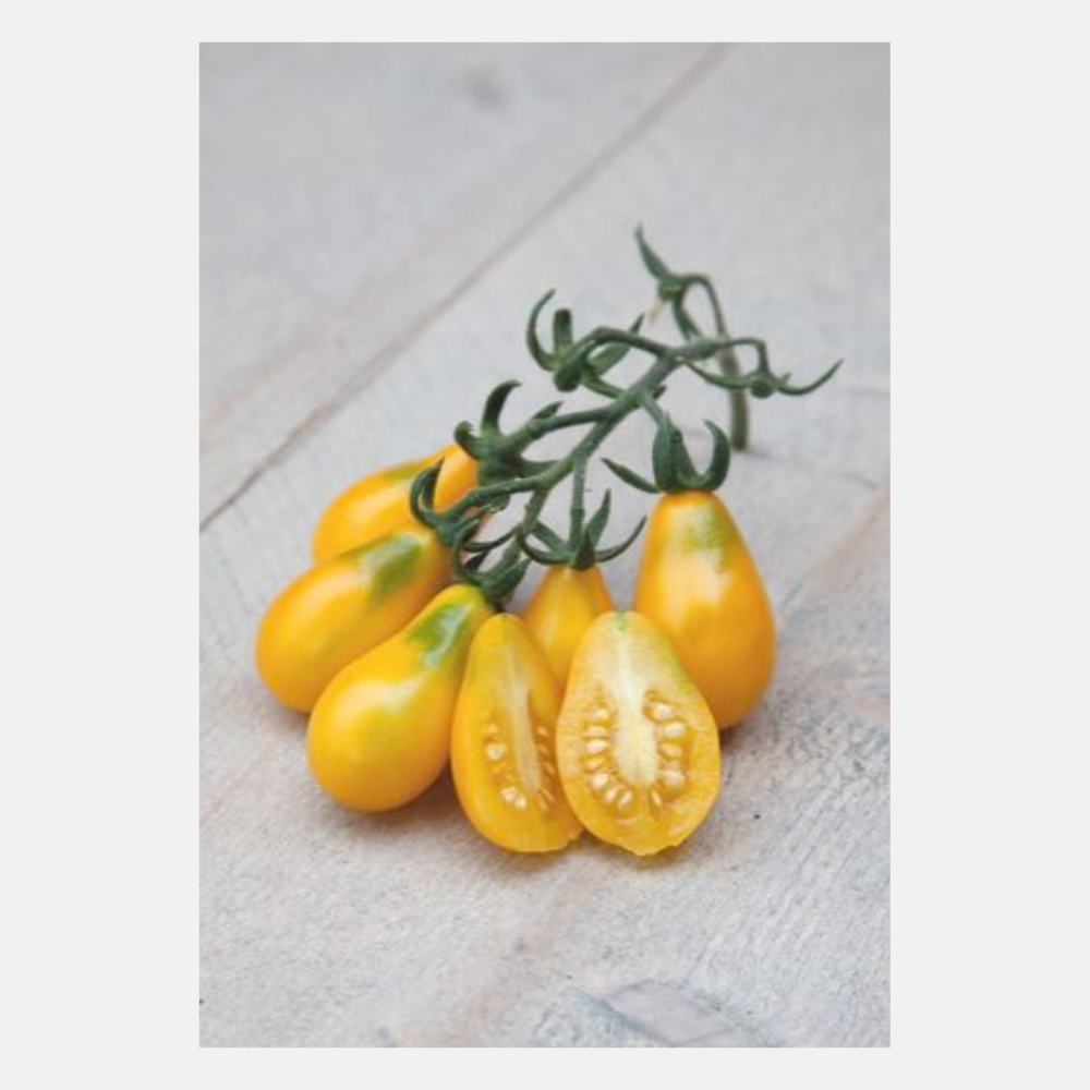 Cherry tomatoes 'Yellow Pearshaped'