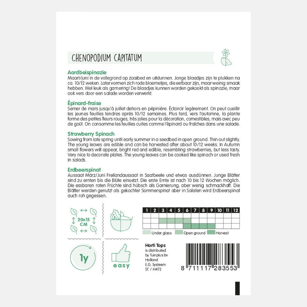Strawberry spinach 'Strawberry Orache'