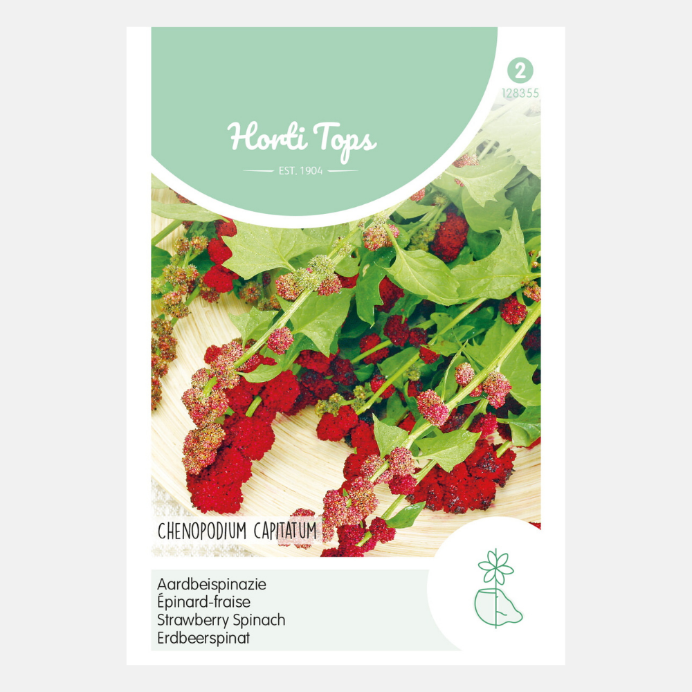 Strawberry spinach 'Strawberry Orache'