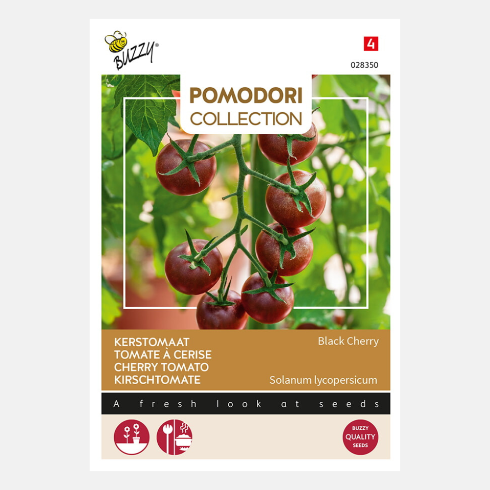 Cherry tomato 'Black Cherry'