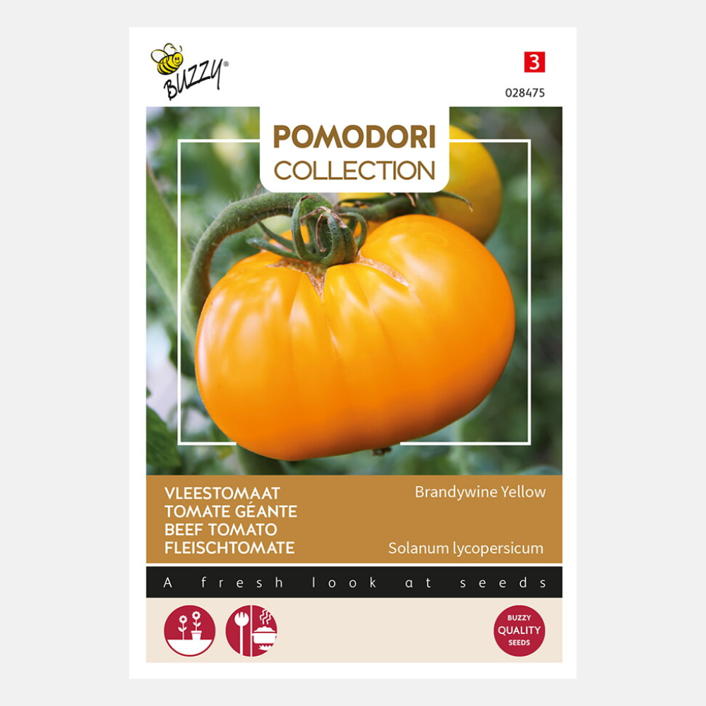 Tomato 'Grappa Gialla'