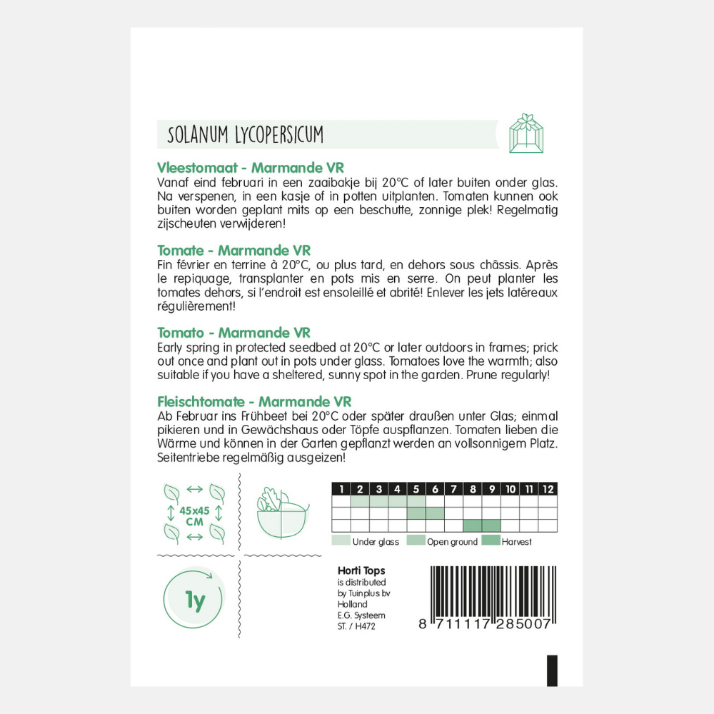 Tomaat 'Marmande VR'