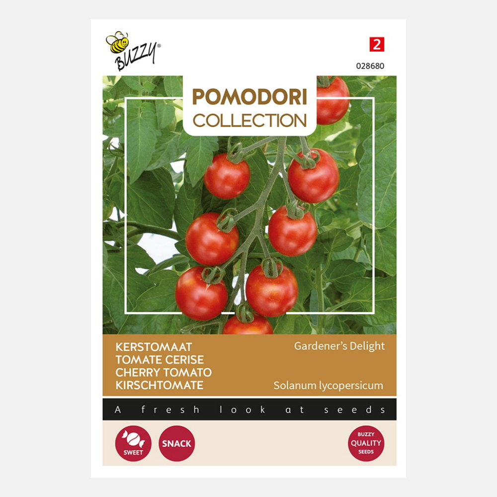 Tomate cerise 'Gardeners Delight'