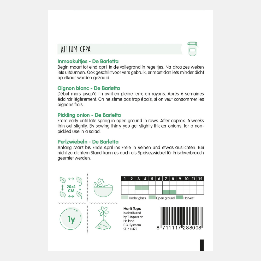 Onions/Onions 'De Barletta' - pickling onions